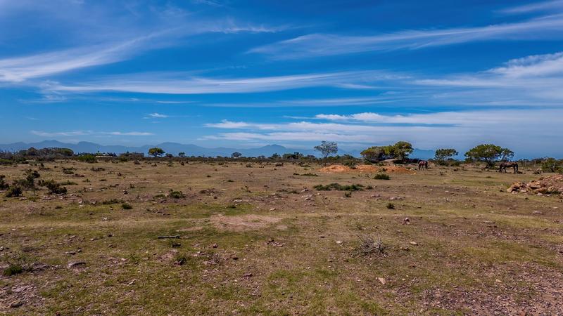 5 Bedroom Property for Sale in Aalwyndal Western Cape